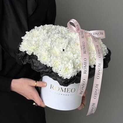 Первое впечатление