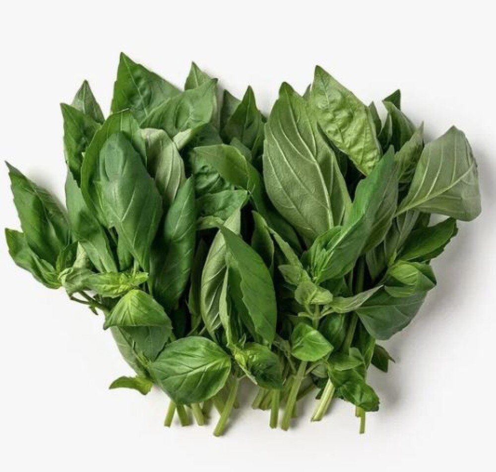 Базилик зеленый (Необработанный/Өңделмеген)