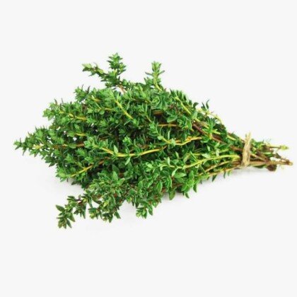 Тимьян\Чабрец (Необработанный/Өңделмеген)