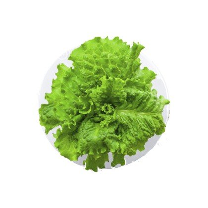 Лист салата