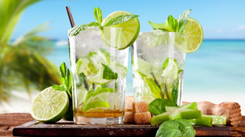 Homemade Mojito 20 OZ