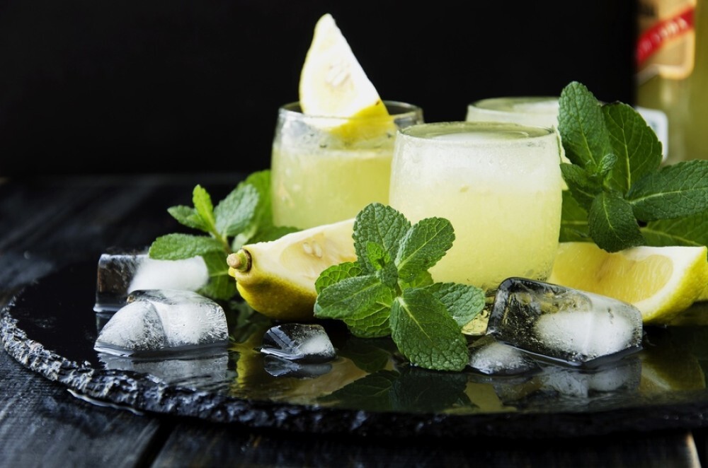 Homemade Lemon 20 OZ