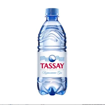 TASSAY Вода питьевая негазированная, 0,5 л