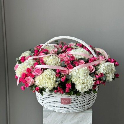 WoW- Еврокорзина (4.6)