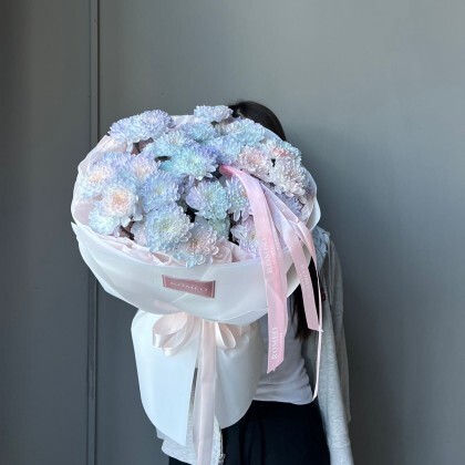 Стойкая хризентема (1.2)