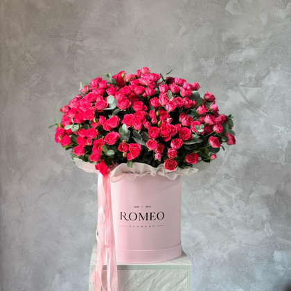 Wow - кустовая роза в коробке