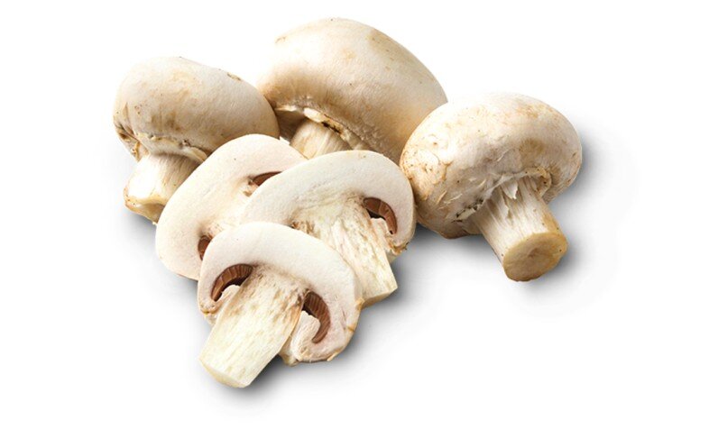 Грибы шампиньоны
