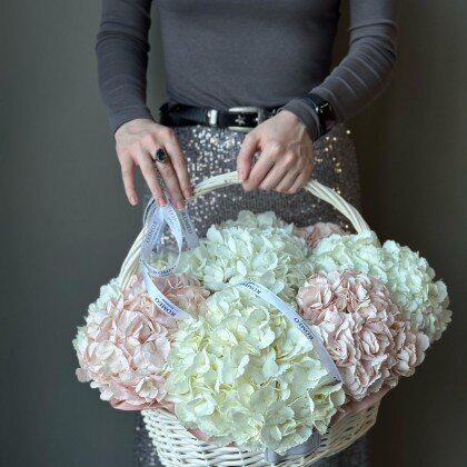 Гортензия в корзине
