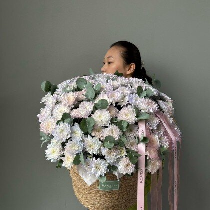 Хризантема в кашпо