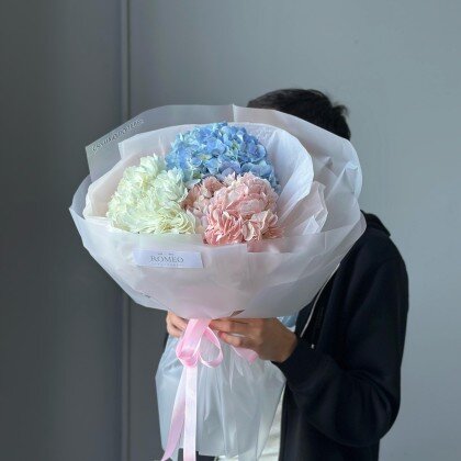 3 ГОРТЕНЗИИ