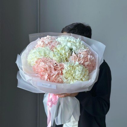 7 ГОРТЕНЗИЙ