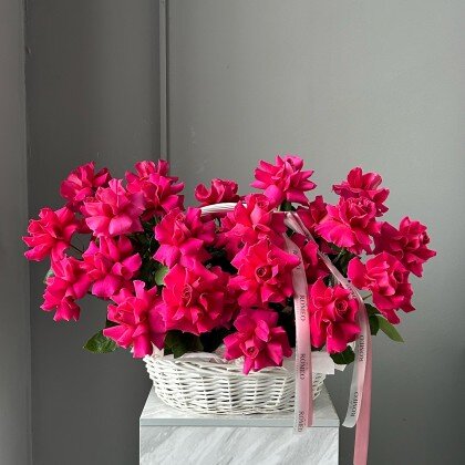 МАЛИНОВАЯ КОРЗИНА