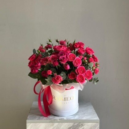 ЯРКИЙ КОМПЛИМЕНТ