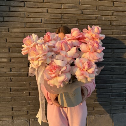 ФРАНЦУЗСКАЯ КОРОБКА