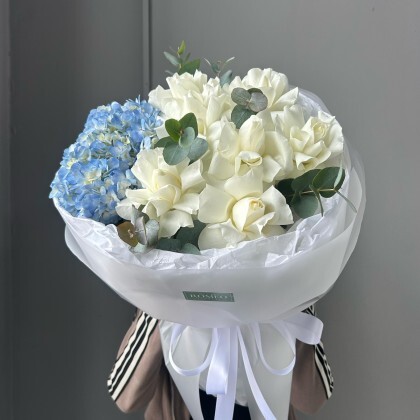 ЕВРО НОВИНКА