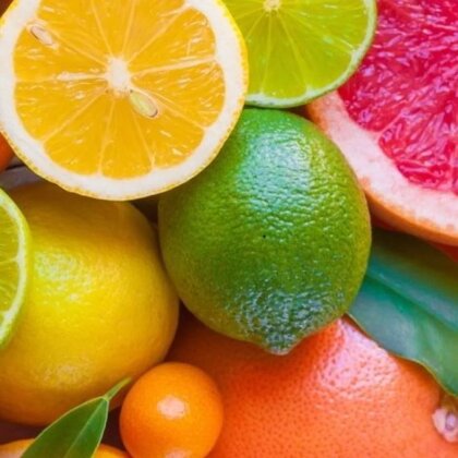 Лимонад Цитрусовый