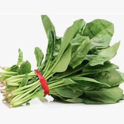 Щавель (Обработанная \ Өңделген)