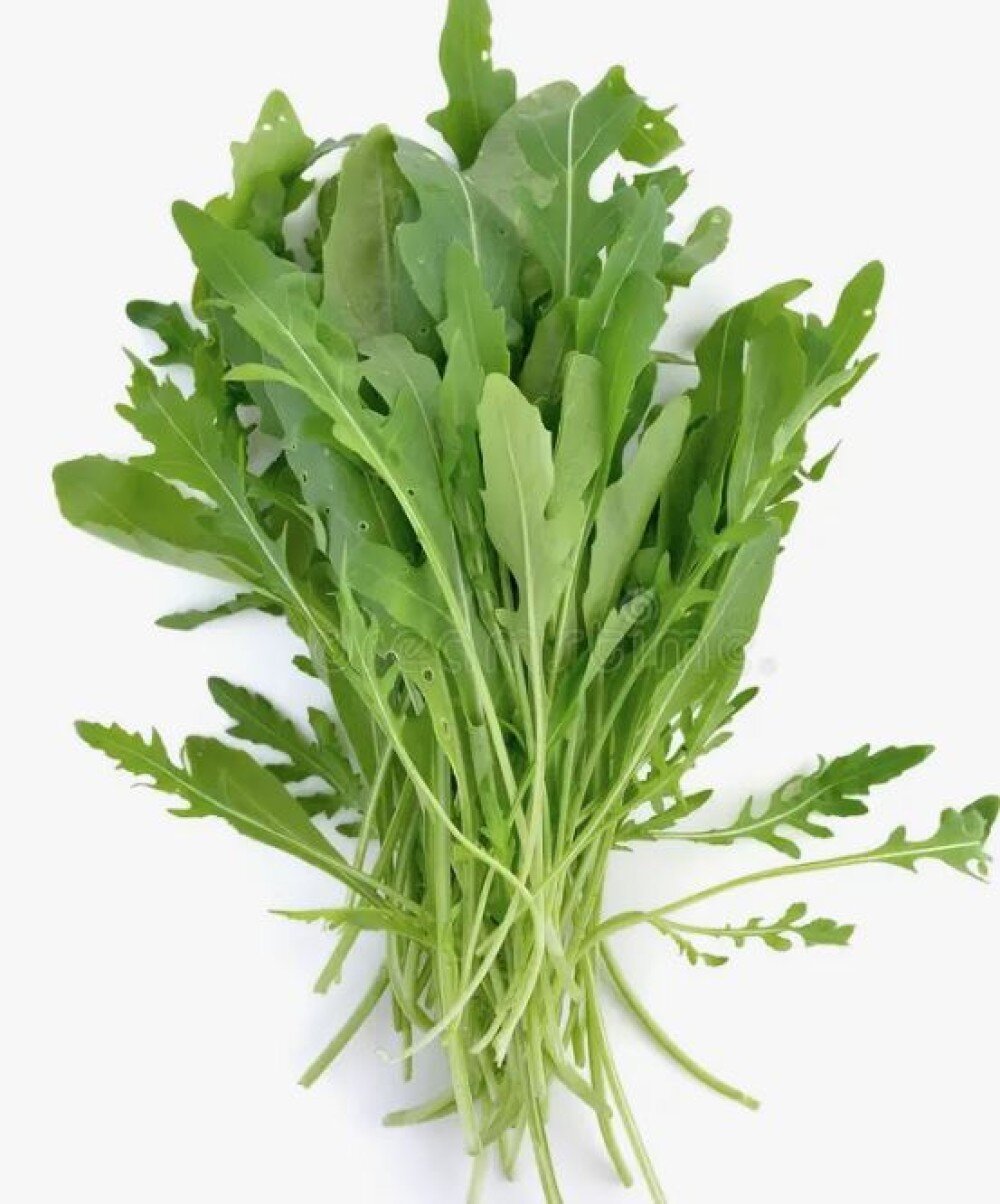 Рукола (Необработанный/Өңделмеген)