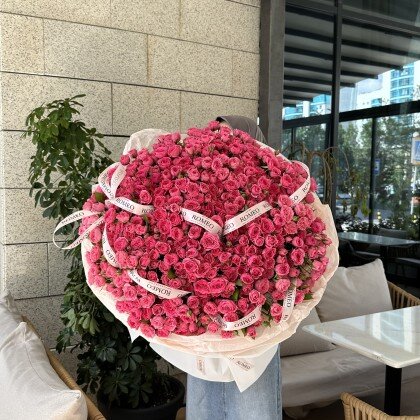 101 спрей роза