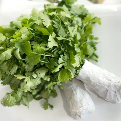 Кинза (Обработанная \ Өңделген)