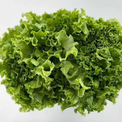 Салатный лист (Обработанная \ Өңделген)