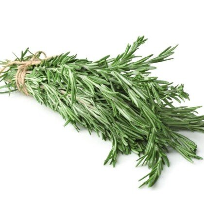 Розмарин (Необработанный/Өңделмеген)