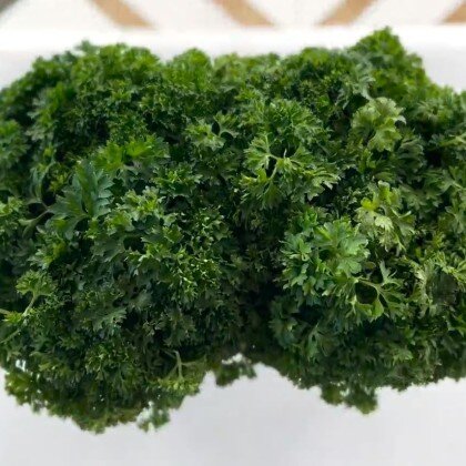 Петрушка кучерявая (Обработанная \ Өңделген)