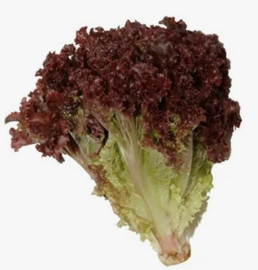 Лолло Росса (Необработанный/Өңделмеген)