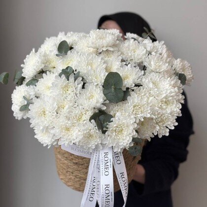 Хризантема в кашпо