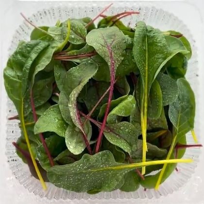 Мангольд \ Свекла - Mix (Béta vulgáris) бл