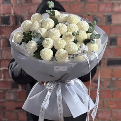 Хризантема Момоко