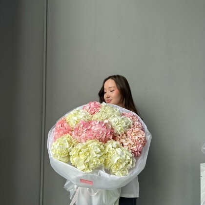 11 гортензий