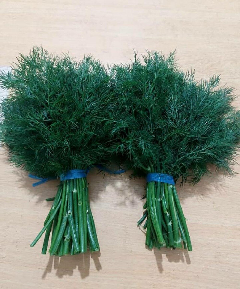 Укроп (Необработанный/Өңделмеген)