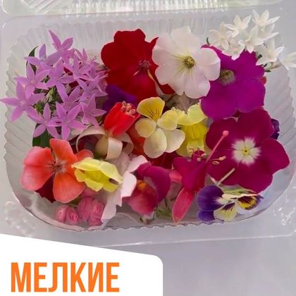Цветы mix