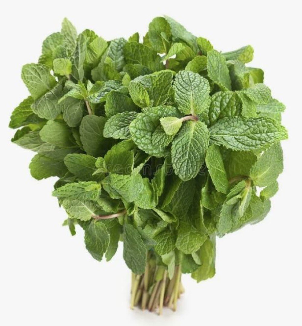 Мята (Необработанный/Өңделмеген)